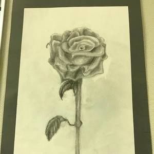 Meet your Posher, Kari